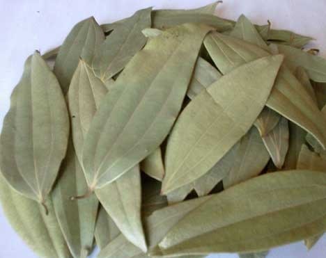 Suppliers of Bay Leaf (Tej Patta)